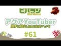 #アクアリウム 生配信 ビバラジ第61回 勝手にアクアYouTuber紹介 アクアテラのすごい人