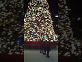 IMG 1368