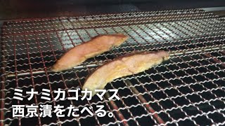 【ミナミカゴカマス】の西京漬を食べる