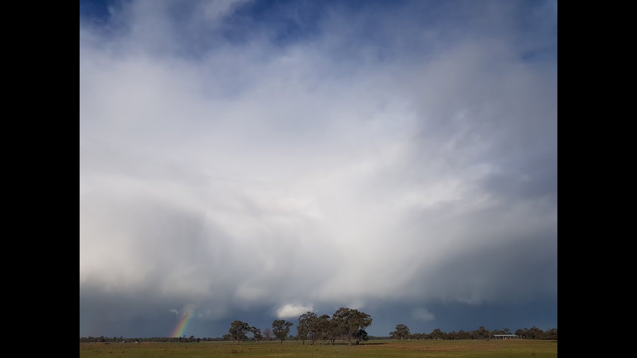 Remnant Vegetation on Farms and their Benefit - Win News