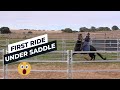 Horse Training - First Ride Under Saddle