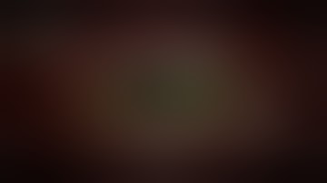 Average GoreBox Multiplayer experience.