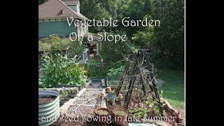 Cottage vegetable Garden and Potager on a SLOPE/  Seeds to sow in late summer by Jeri Landers of Hopalong Hollow 20,953 views 9 months ago 34 minutes