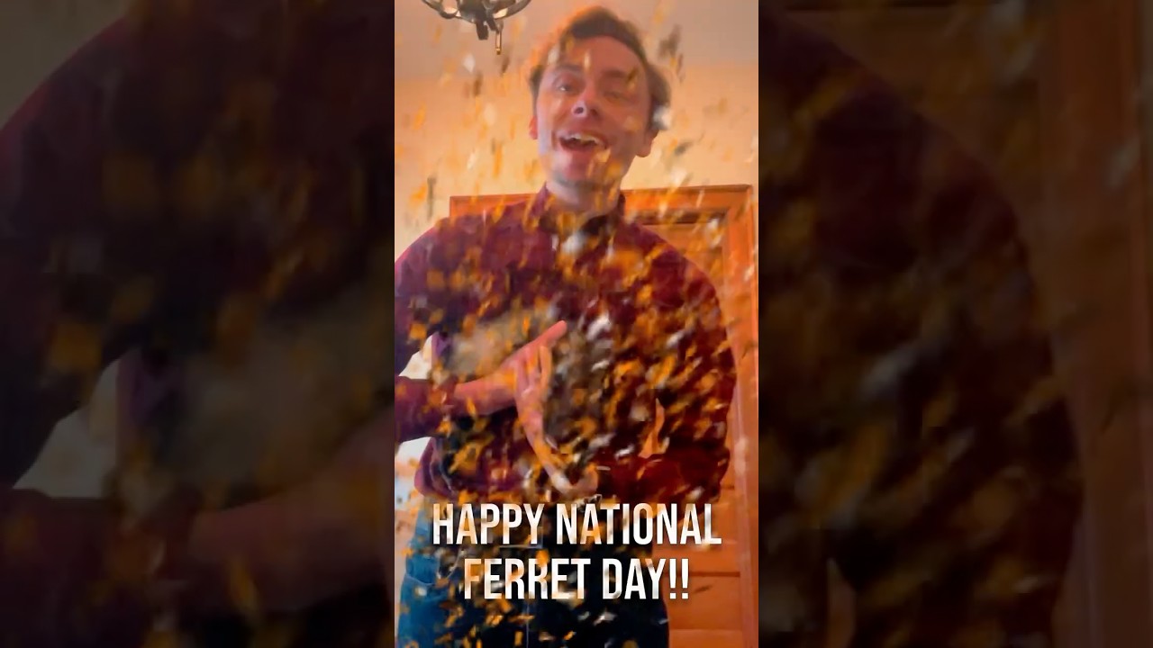Happy Belated National Ferret Day! Let’s celebrate these playful creatures that bring so much joy!
