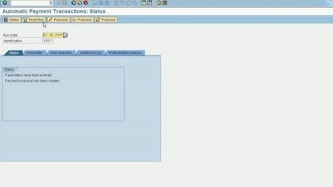 SAP FI-AP Payment Run - F110 Demo