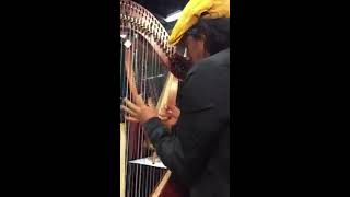 Edmar Castaneda plays the new Dusty Strings mariachi harp, the Serrana 34