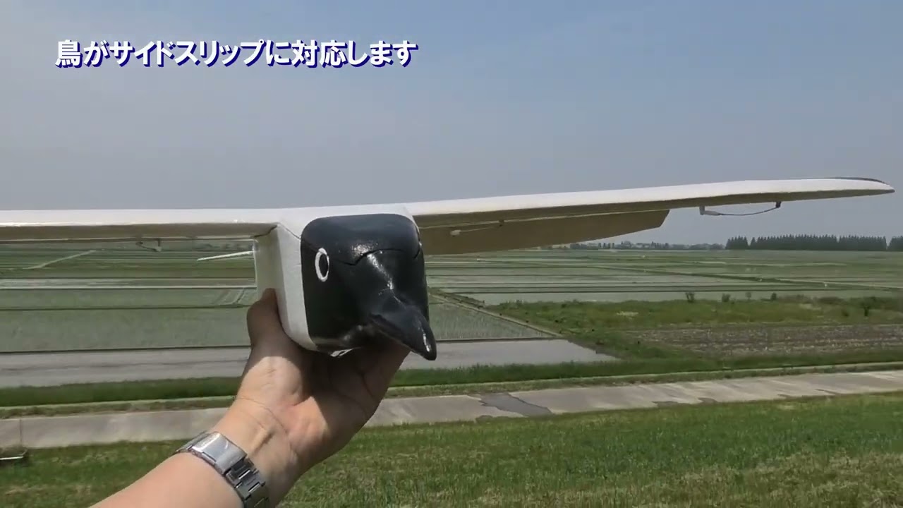 垂直尾翼の無い鳥型機 「カモメの勝手でしょ」魅惑のガル翼 The