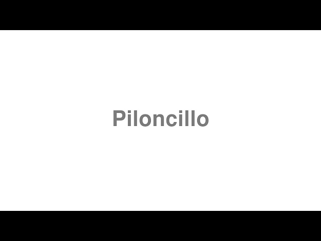 Piloncillo synonyms - 42 Words and Phrases for Piloncillo