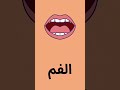 تعلم أعضاء الجسم للأطفال مع حسن فيديو تعليمي ممتع     