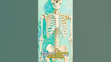 What Is HTML? (Web Basics in 60 Seconds)