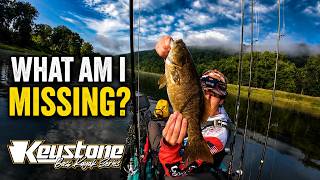 The Allegheny River Made Me Question Everything Guide