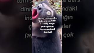 Hilmi Bu Siskskskeksksk Şfet