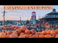 Linvilla Orchards with my bestie! | #Vlogtober Day 15 | VinaVlogs #15