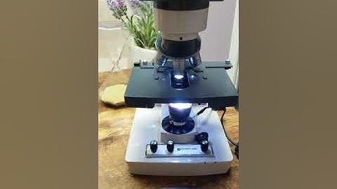 DIY Darkfield Microscope From A Lightfield Microscope