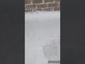 reparación de un techo con grietas extremas pt13
