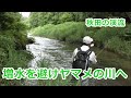 増水を避けヤマメの川に行く・秋田編  / ｲﾜﾅ30cm ~秋田の渓流~ / みちのく釣りの旅  ﾌﾗｲﾌｨｯｼﾝｸﾞ渓流釣り(4K) fly fishing