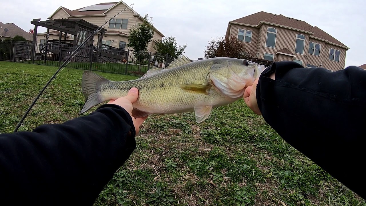 Real Whopper Plopper vs $1 fake Whopper Plopper 