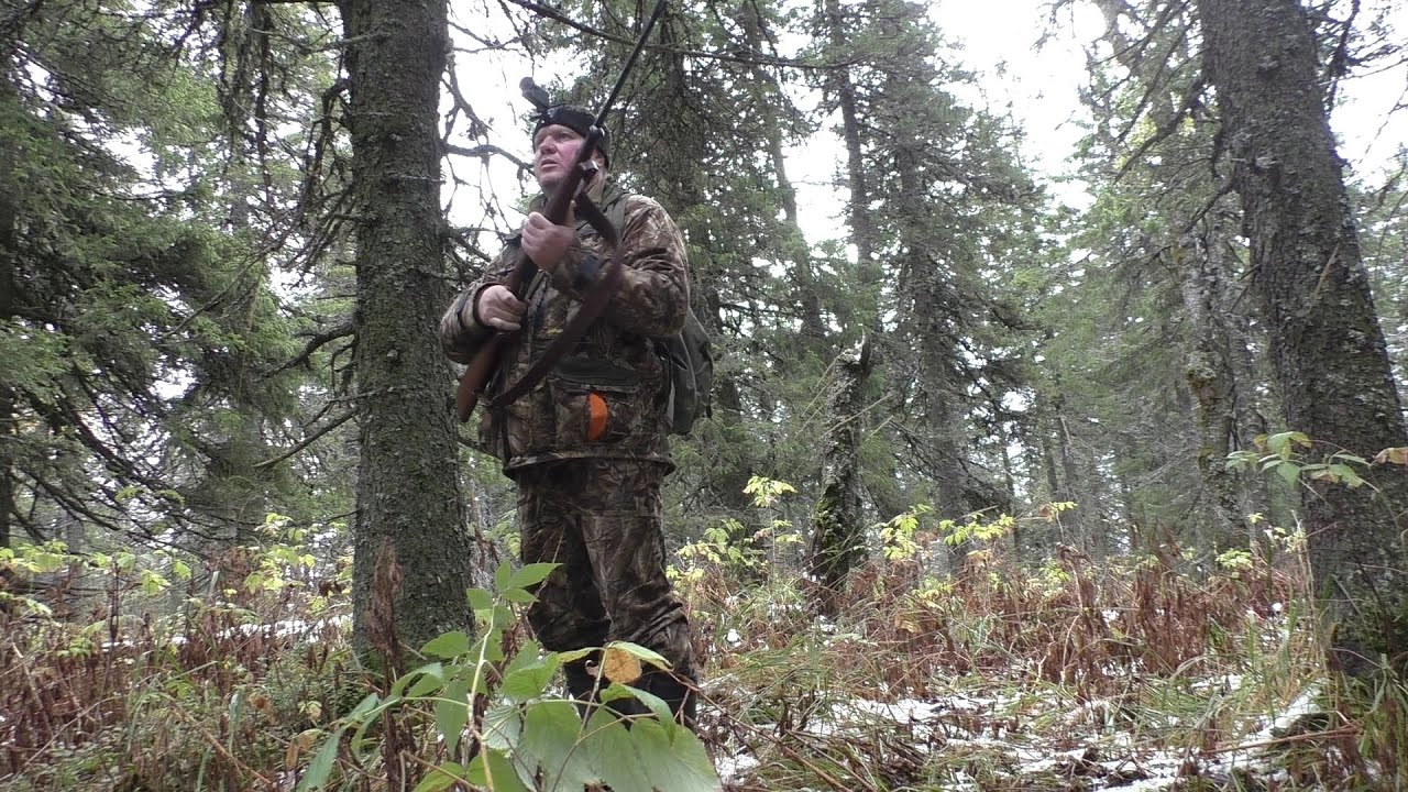 Охота на копытных!! Собака рванула от кабанов!!! Ungulate hunting!! The dog rushed from the boars!!!