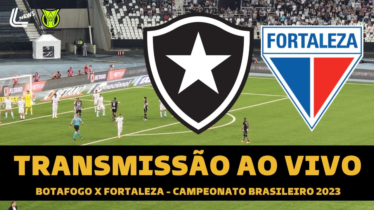 Futebol ao vivo (16/11): Onde assistir os jogos de hoje - Diário