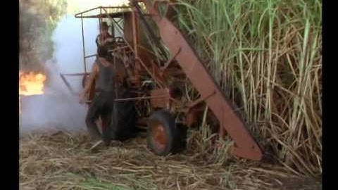 Fields of Fire S2 Excerpt