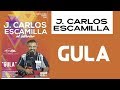 PSIC J.CARLOS ESCAMILLA. UN VIAJE A TRAVÉS  DELOS PASOS 10A PARTE TEMA: “GULA"