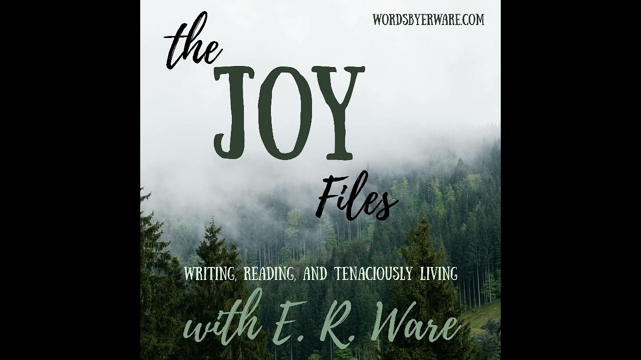 How I Wrote a Novel in 14 Days without Burnout.