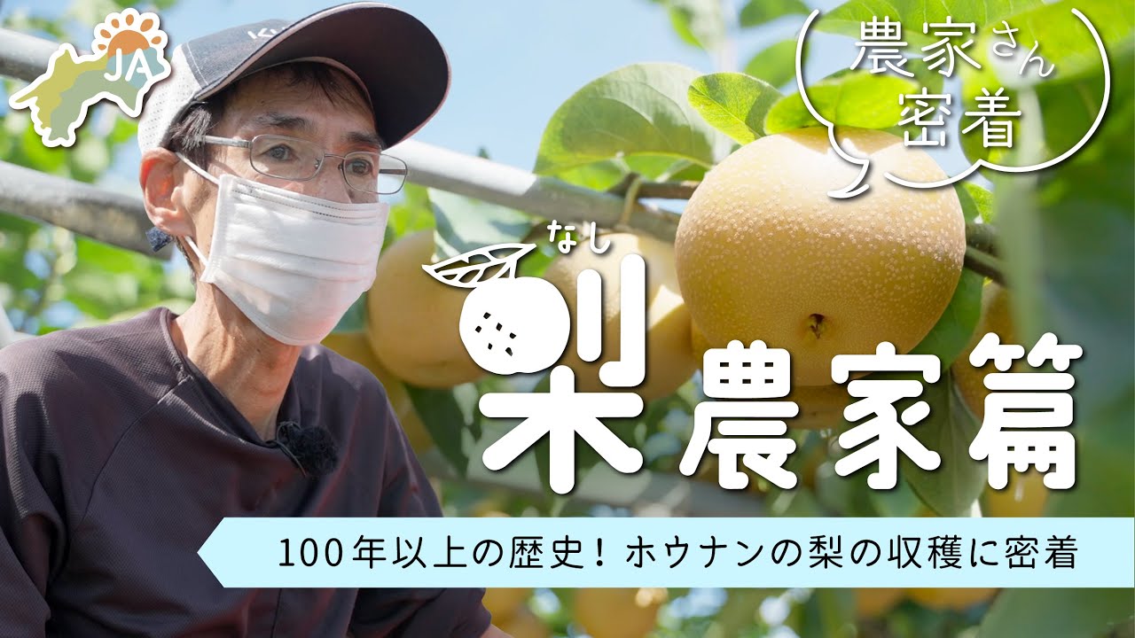 【生産者密着！】梨農家篇～香川特産！ホウナンの梨を収穫～