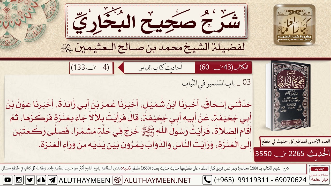 2265 - 3550 باب التشمر في الثياب حديث رأيت بلال جاء بعنزة فركزها📔 صحيح البخاري - ابن عثيمين