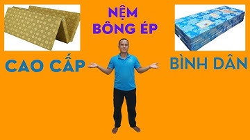 So sánh nệm bông ép giá rẻ và cao cấp | Nên chọn loại nào tốt nhất?