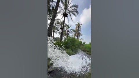 ﴿هُوَ اللَّهُ الَّذِي لَا إِلَٰهَ إِلَّا هُوَ﴾ تلاوة تهز القلوب | المنشاوي