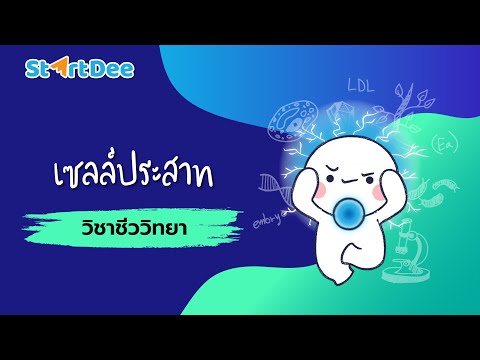 วิชาชีววิทยา ม.5 | เซลล์ประสาท