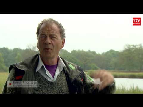 Drenthe Nu van dinsdag 6 juni 2017 - Drenthe Nu van dinsdag 6 juni 2017