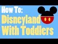 Ten Tips To Survive Disneyland With A Toddler