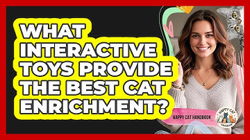 What Interactive Toys Provide The Best Cat Enrichment? - Happy Cat Handbook