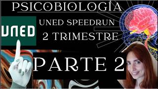 PSICOBIOLOGIA SPEEDRUN 2 🧠⚡ - UNED SOMATOSENSORIAL Y EFECTORES