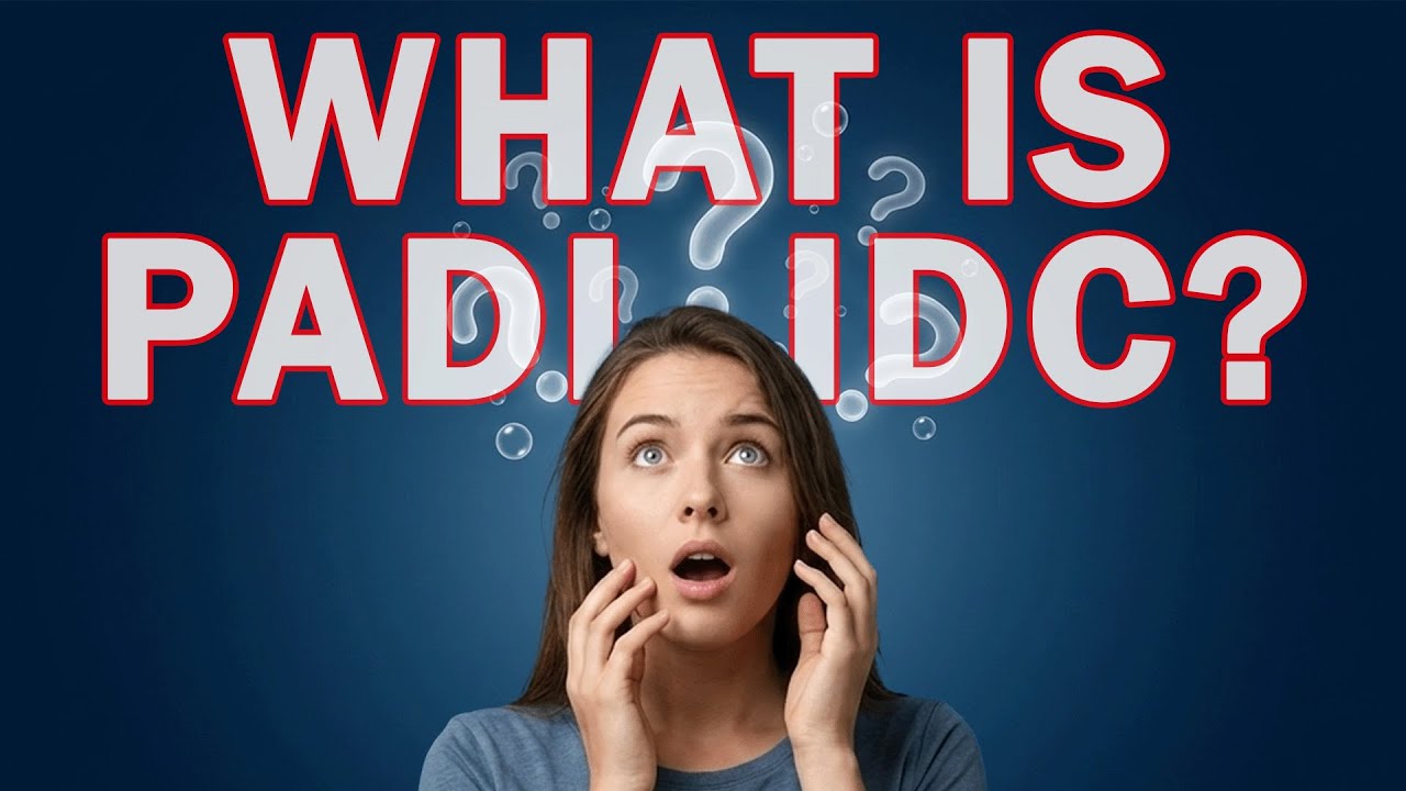 Как стать инструктором по дайвингу? Все о PADI IDC (реальные снимки экзамена!)