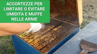 Beekeeping: Tips to Avoid or Limit Humidity and Mold in the Hive #humidity#mold#bees#