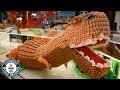 Giant Balloon Dinosaur Sculpture - Guinness World Records