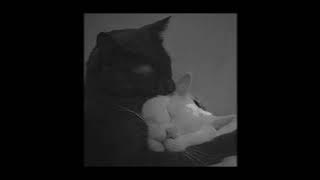 Lukas Graham & Sam Smith - 7 Years X Latch (sped up)