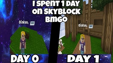 I spent 1 day on skyblock (blockman go)