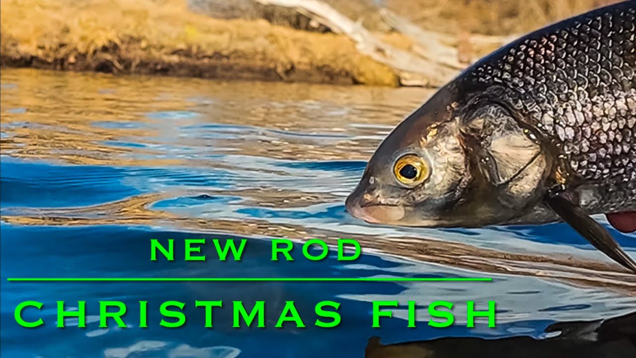 New Rod for Christmas! Orvis Clearwater 6 wt! - YouTube