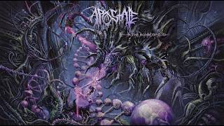 Apostate - 2022 - In The Image Of God (Technical Brutal Death, DR11)