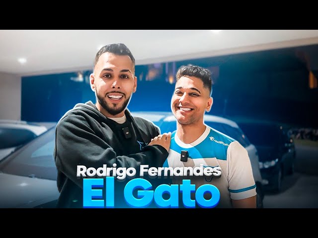 EL Gato e o jogo Do Tigre 😱😱 @Rodrigo EL GATO #clipsdogato #elgato