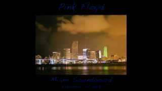 Pink Floyd Live 1th November 1987 Miami Sorrow