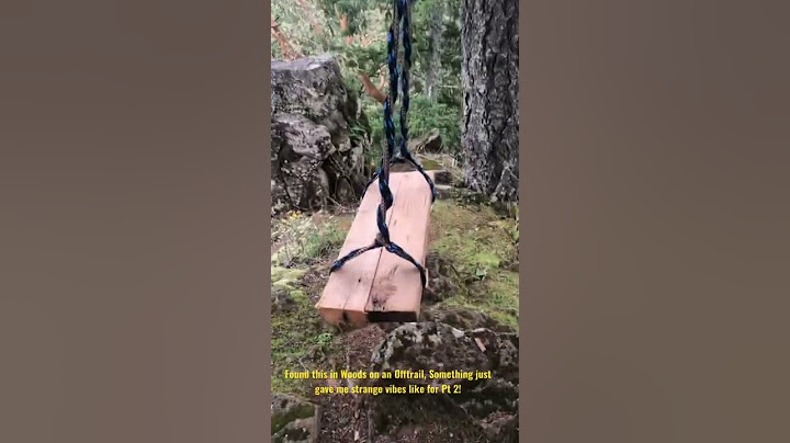 Strange Things found in the Woods #fyp #creepy #ghost #haunted #weird #foryoupage #demonic #wtf