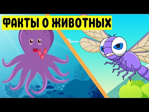 Занимательные факты о животных для детей