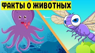 Занимательные факты о животных для детей