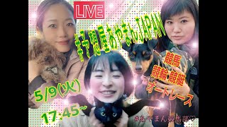 5/9 予想屋あやまんJAPAN生配信
