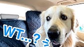 July 20, 2016 - YouTube