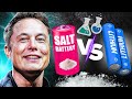 Sodium Ion Vs Lithium Ion What Is The Difference?